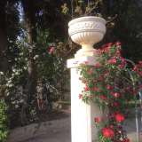 L'ingresso del giardino addobbato da rose rosse